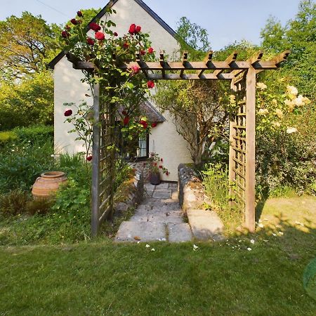 Sundowner - Axminster Devon Villa Exterior foto